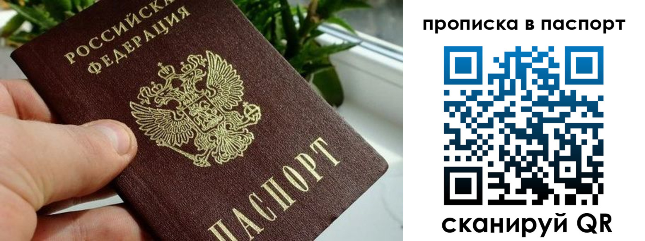 временная регистрация купить в Почепе